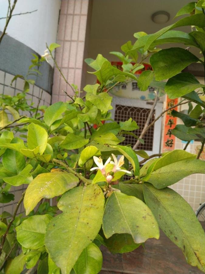Minxiong Song Tian Ju B&B المظهر الخارجي الصورة